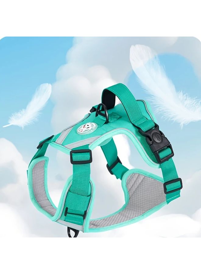 Earth Green XL قطعتين مجموعة صدرية للحيوانات الأليفة مع حبل مضاد للضياع أساسيات المشي للكلاب - Image 1